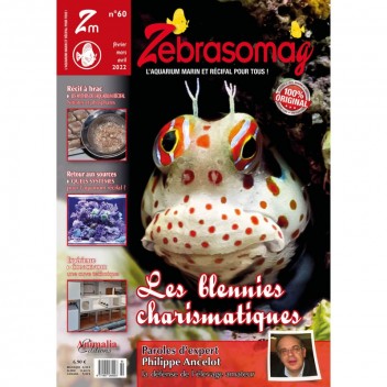Zebrasomag n°60