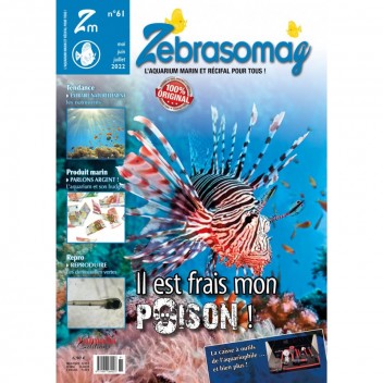 Zebrasomag n°61